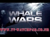 Whale Wars