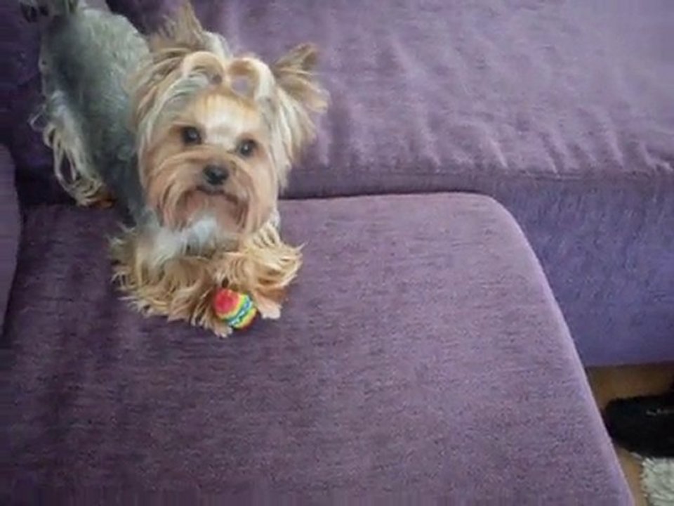 Kitty&Cheri top peşinde ;)