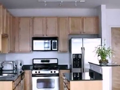 Homes for Sale - 1069 W 14th Pl Unit 405 - Chicago, IL 60608