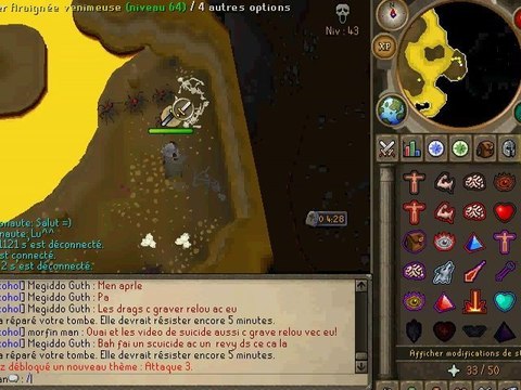 delire runescape foufou se suicide au roi dragon noir