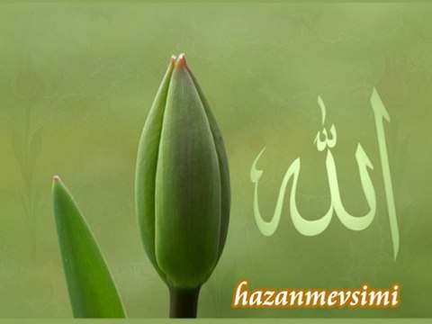 Sen Sultansın ben kulunum - Orhan Çakmak