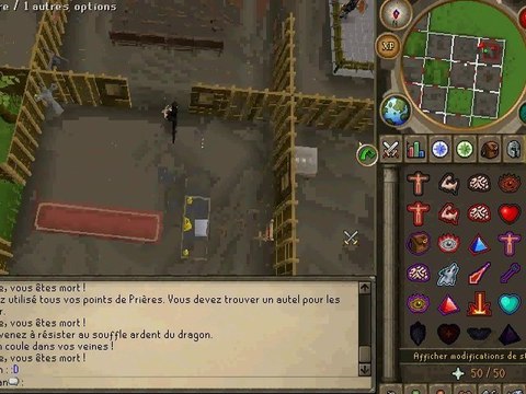 runescape delire foufou se suicide chez XDragonElfX