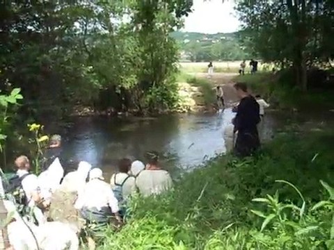 attelage de vaches et cuvée 910 à Cluny au gué de la Grosne