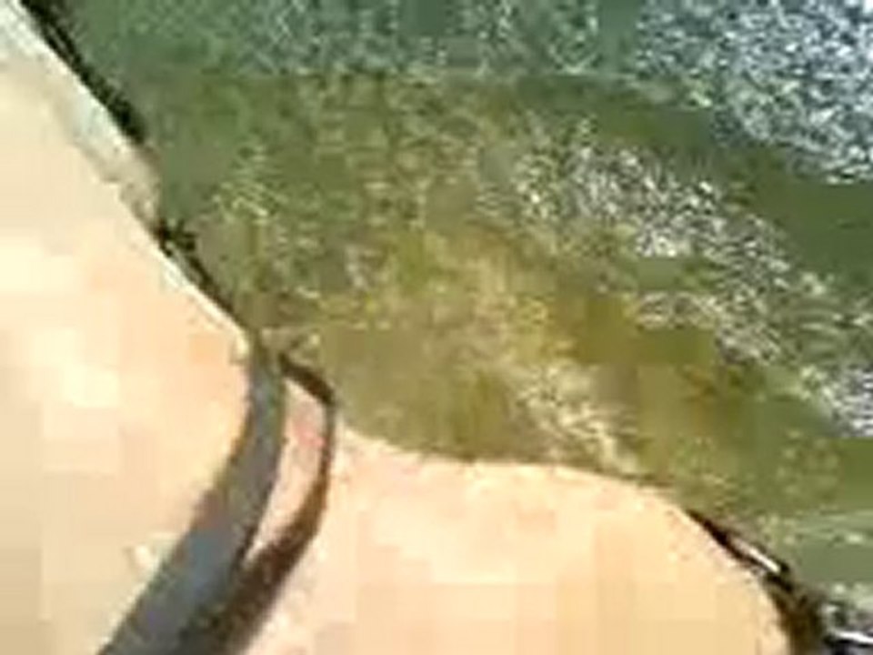 rocco fait des vagues