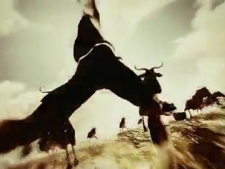 World Cup 2010 ( Animal Instinct)