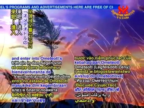 The Gospel of the Toltecs: The Teachings, The Banquet P3/3