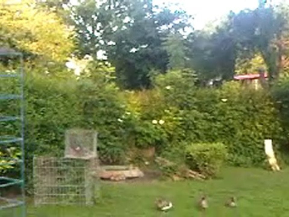 VID 00002-20100622-2101