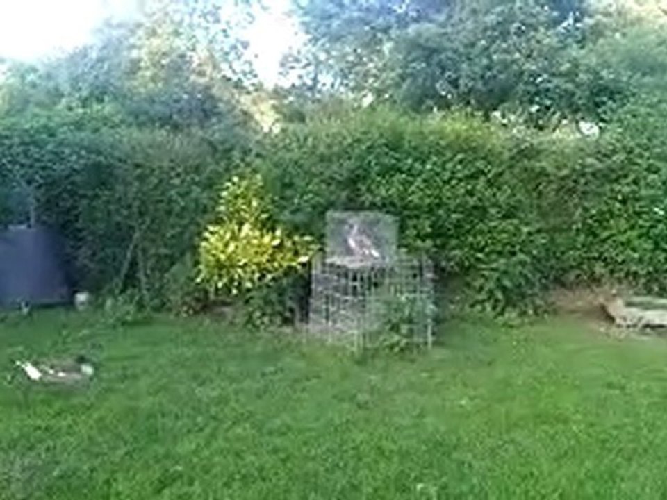 VID 00003-20100622-2107