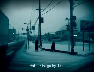 In the flying snow , two crows