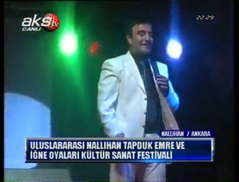 Nallıhan Festivali 2010