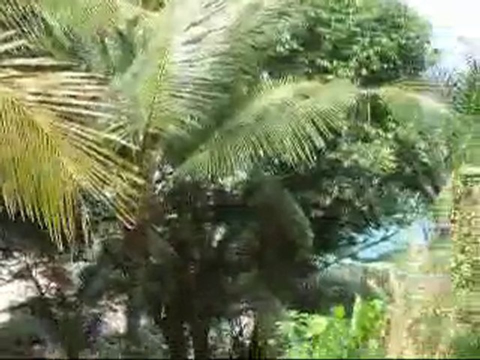 Siyam beach