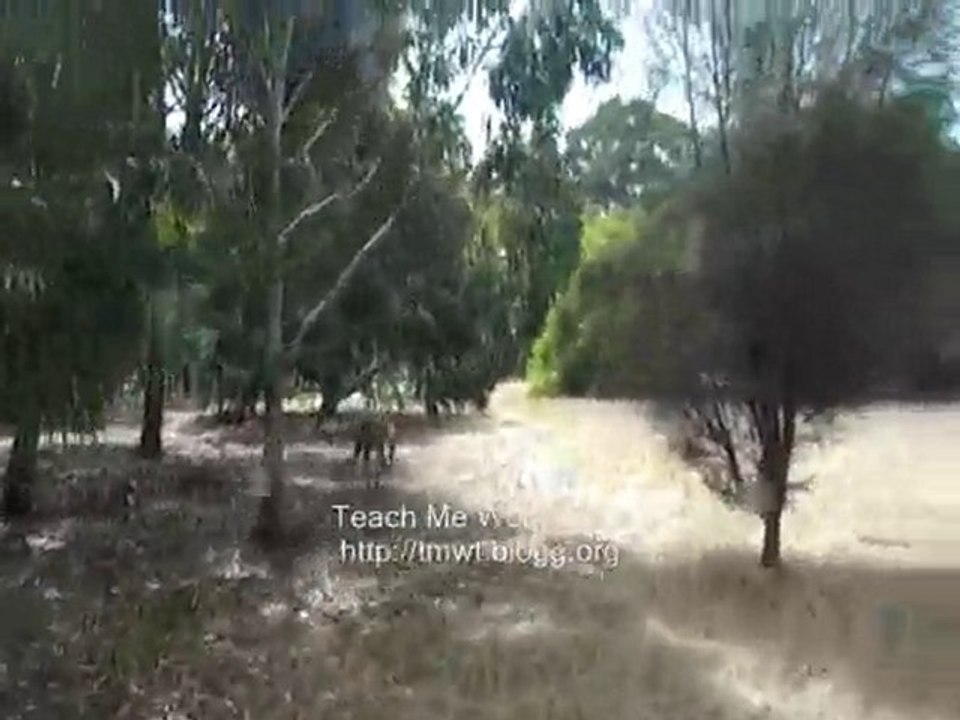 Walk with Kanga on Kangaroo Island