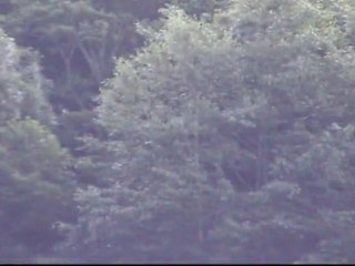 Passionat'a The Fly Fishing Adventure in EusKadi  #Intro#