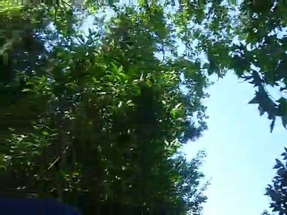 Yayou & Valou - Crise de fou rire et délire débile