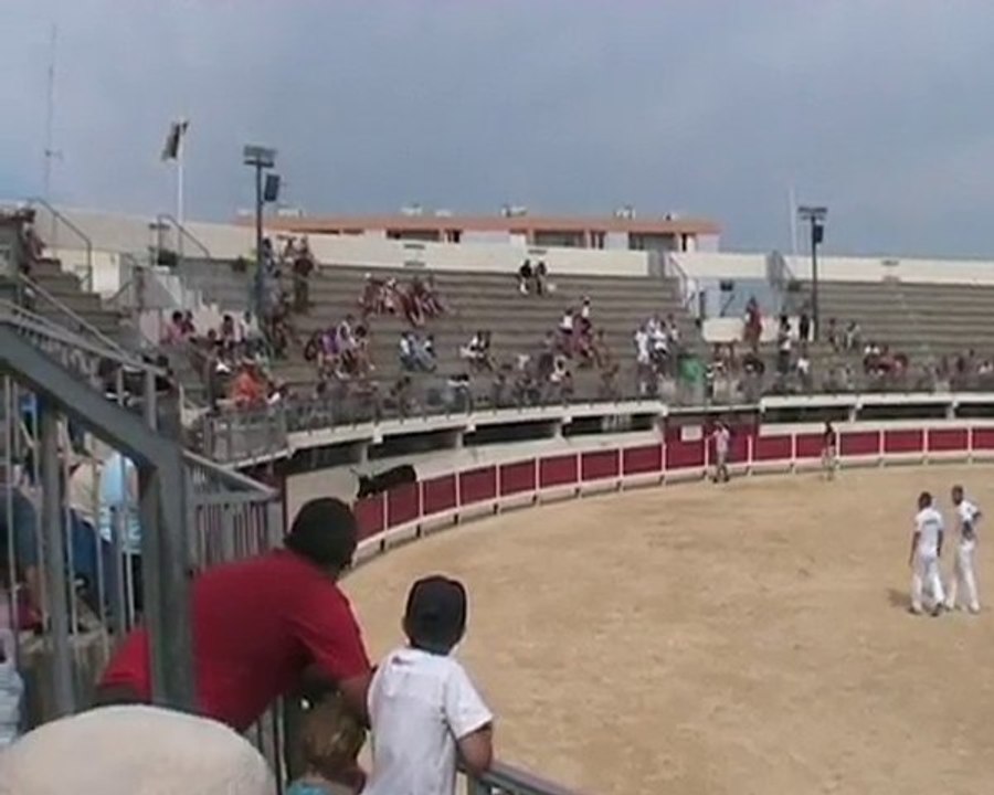 fête à la cocarde au grau du roi 2010