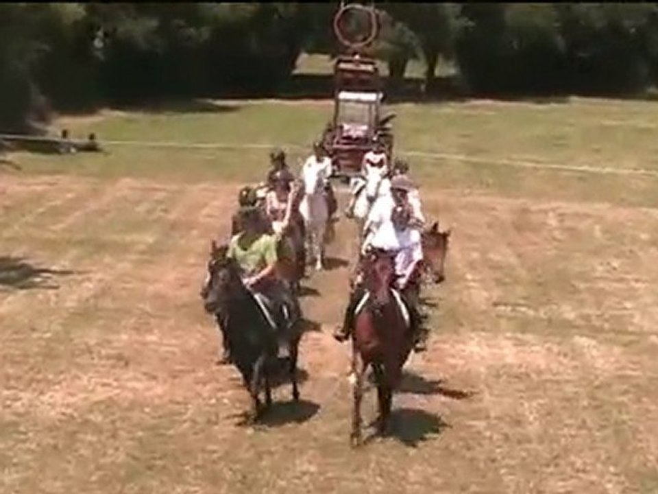 Fête Centaures 2010 Carrousel Adultes