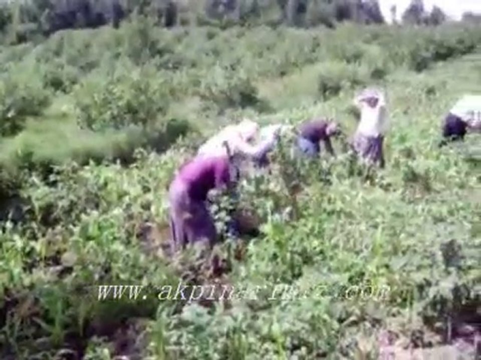 Akpınar'dan Esintiler