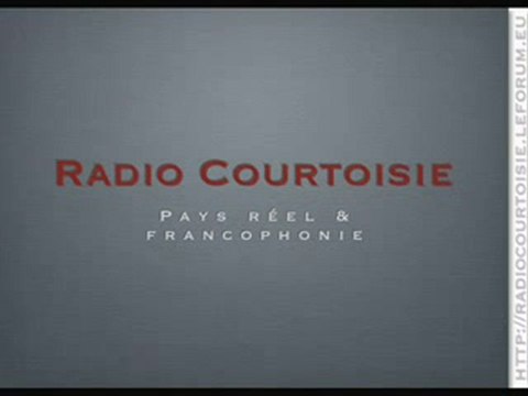 Armes électro magnétiques 2_2