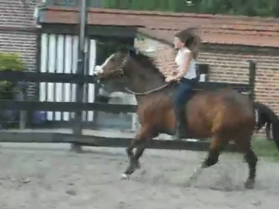 Libre comme le vent