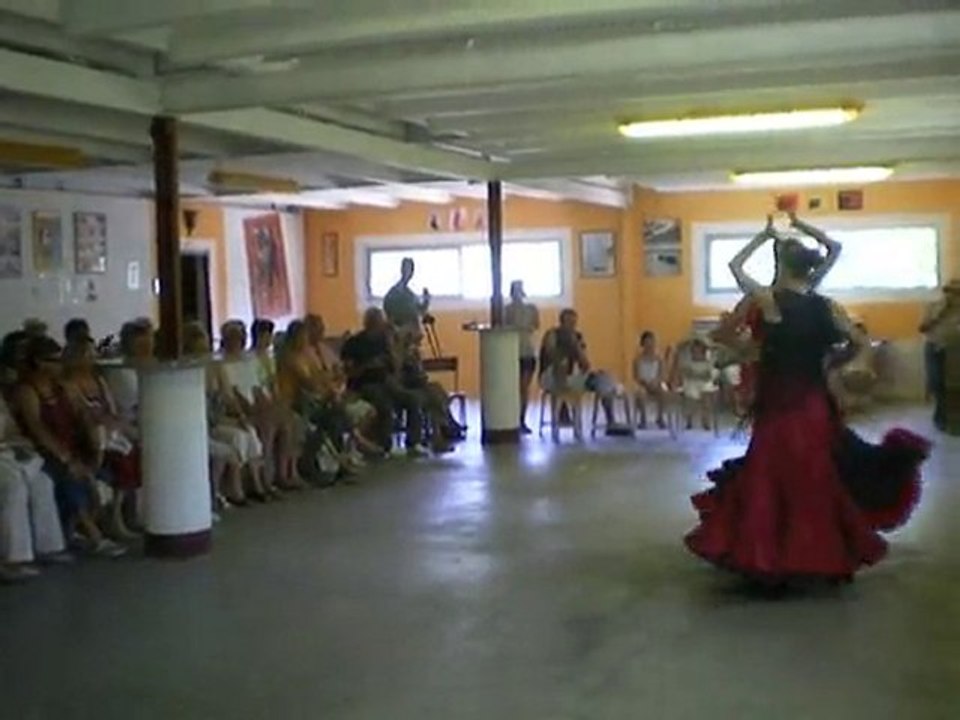 ACV84 Danse Sévillane au mas d'Auzières le 5 juin 2010.