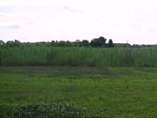 Homes for Sale - 0 Meadow Ln - Wheatfield, IN 46392 - Coldwe