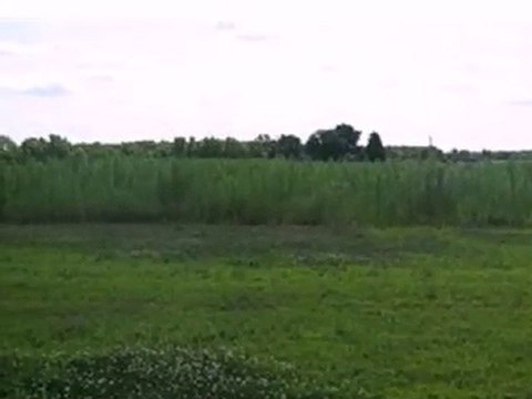 Homes for Sale - 0 Meadow Ln - Wheatfield, IN 46392 - Coldwe