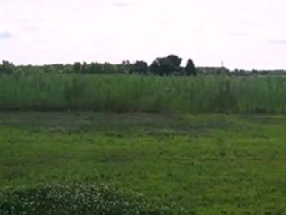 Homes for Sale - 0 Meadow Ln - Wheatfield, IN 46392 - Coldwe