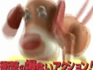 Tirelire Chien Affamé