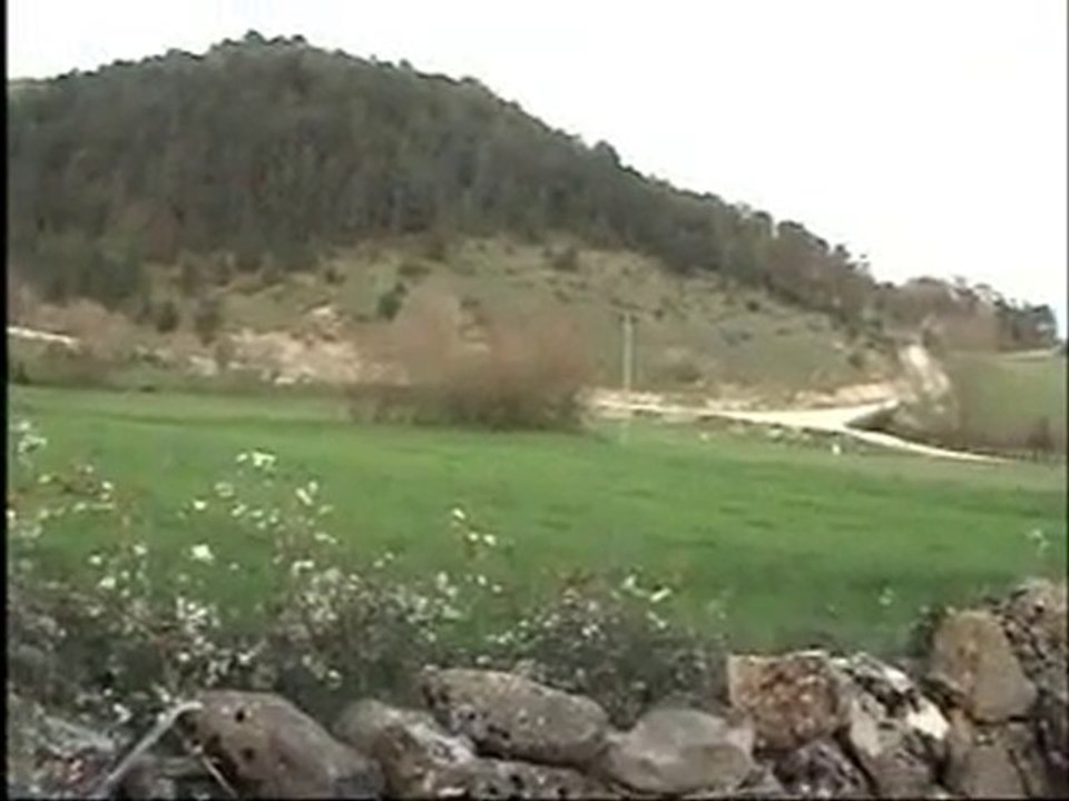 Eksozcu Mehmet Usta