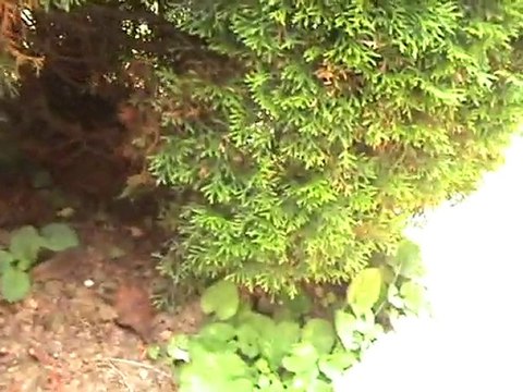 Clefs, porte-clefs, ... mais? ... Elle ment!