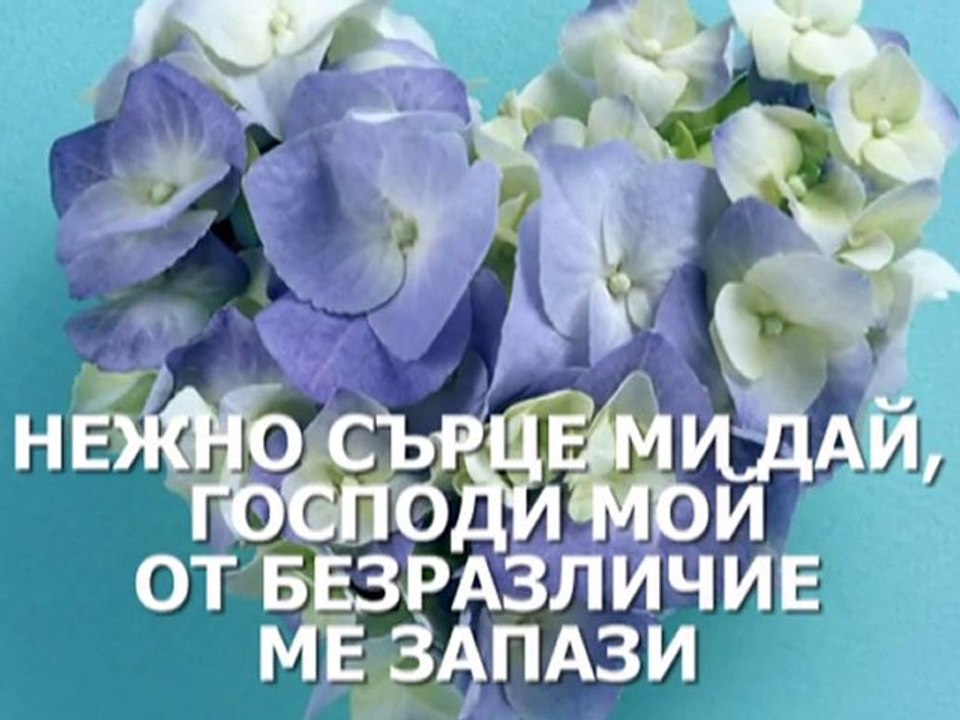 Tender Heart
