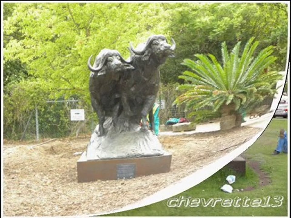 Stellenbosch 2_0001