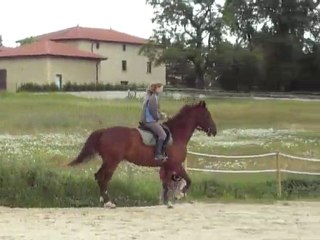 lou dress' mi juin 2010 partie 1