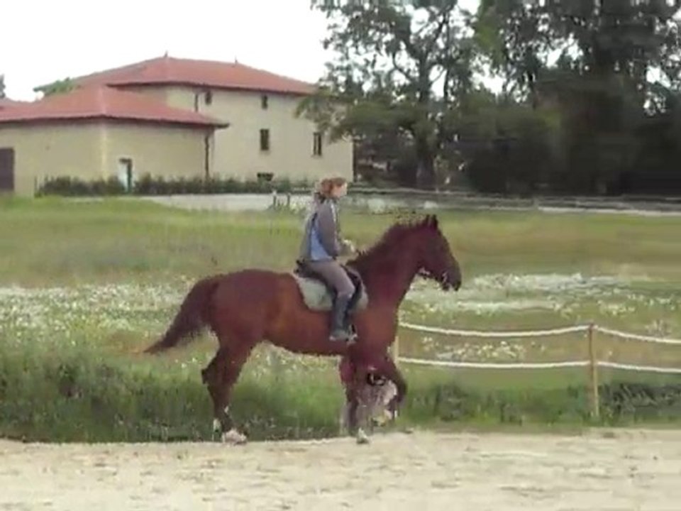 lou dress' mi juin 2010 partie 1