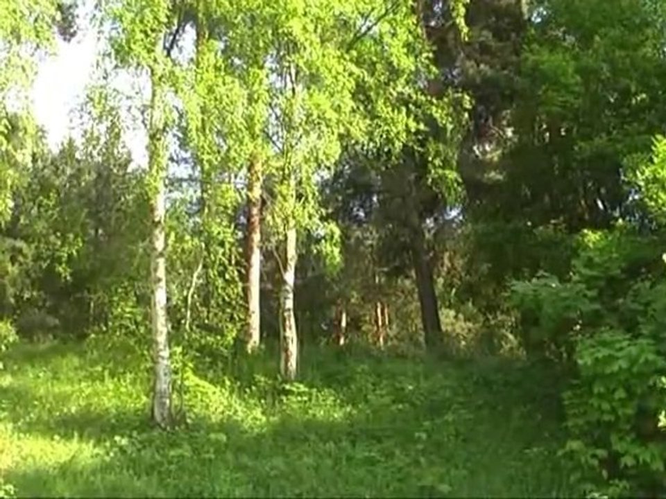 Летний день
