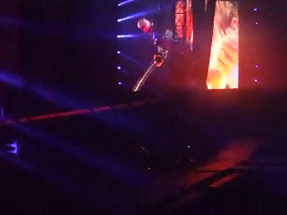 indochine stade de france 26 juin 2010