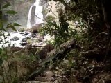 Caminhada até a Cachoeira do  Fecho da Serra