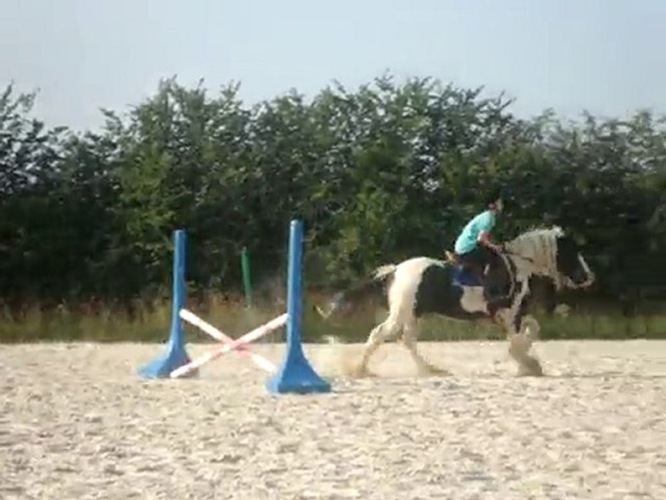 Piebald et Baptiste petits sauts