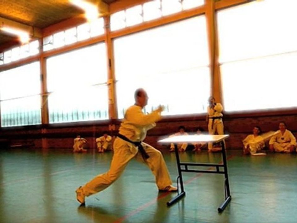 TKD 2010 - Casses juin