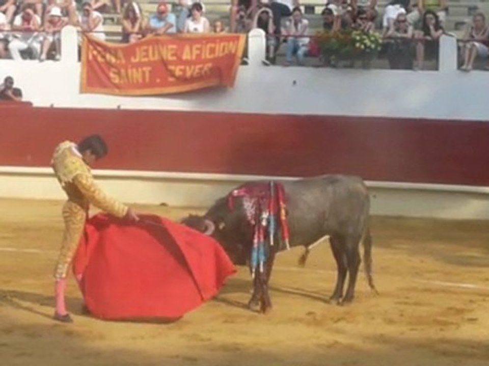 Novillada de St Sever - 27 juin 2010 - Victor Barrio