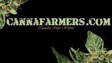 CannaFarmers Logo 1