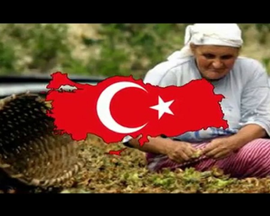 Türk Olmak