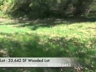 Glen Echo Md new home 4 sale 33,000 sf wooded lot for sale