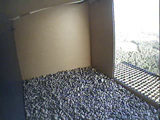 11 februari 2009 / 10 uur