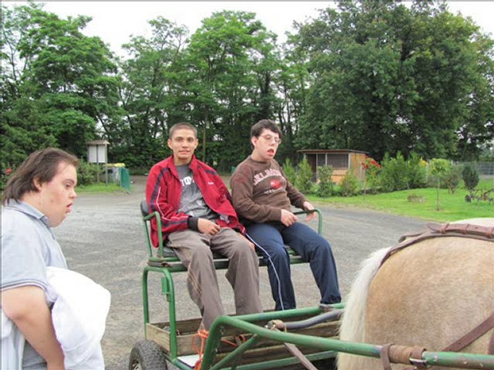 PONEY ESAT LA CLAIRE  2010