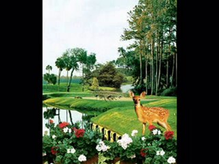 gazze gemisine şiir