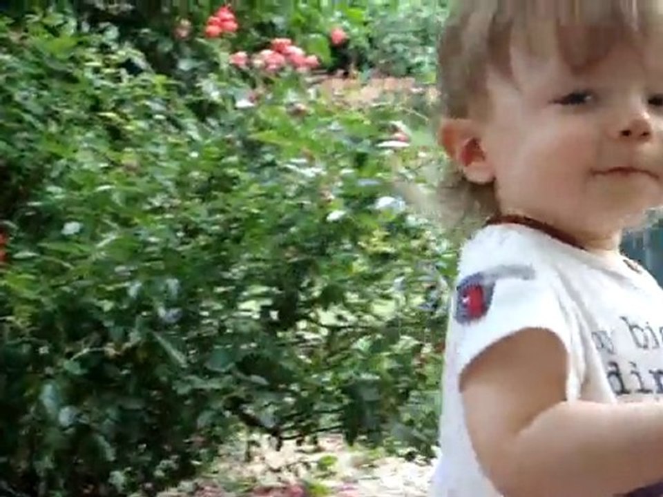 MOV06093
