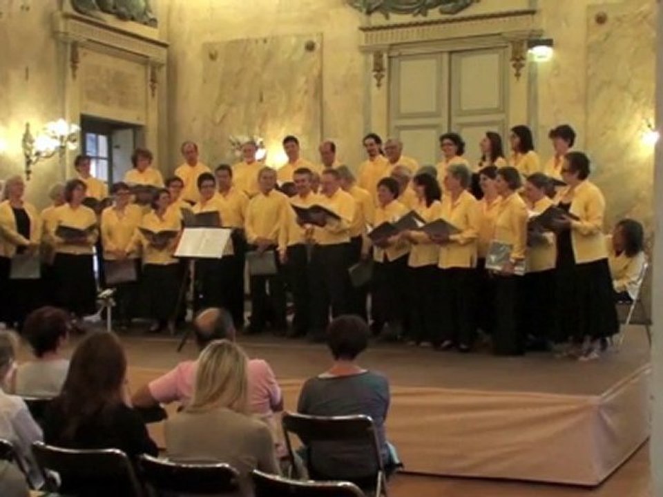 Concert salle de Flore 2010.m4v