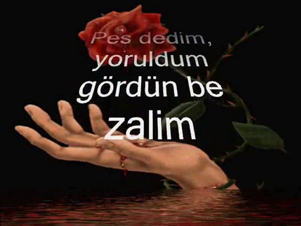 BAHA 2010 ZALİM