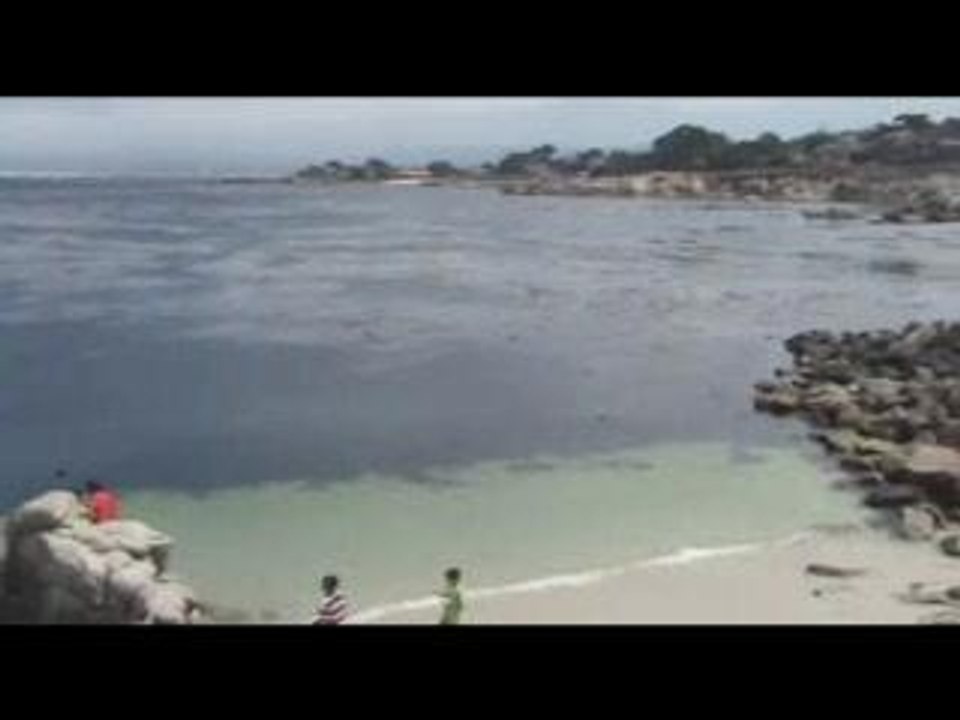 trailer Plongee Monterey